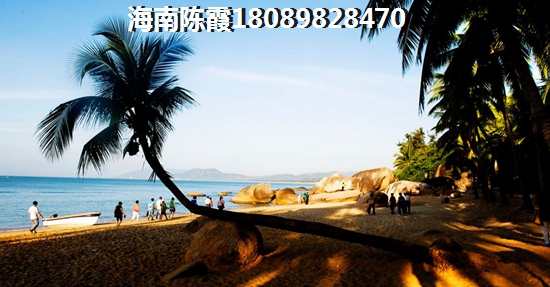 宏发万悦山为什么这么火