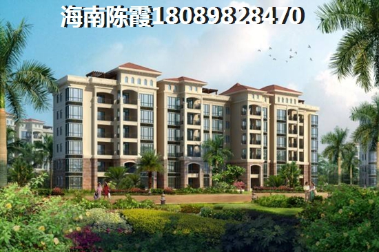 龙岗坪地村委统建楼 一居  户型图