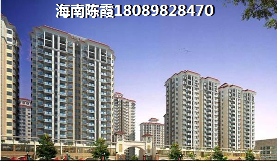 南山前海御府 一居  户型图