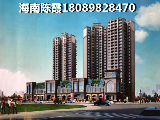 龙华观澜鸿基花园 一居  户型图