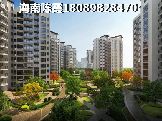 观澜丰盛懿园 一居  户型图