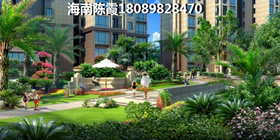 观澜丰盛懿园 一居  户型图