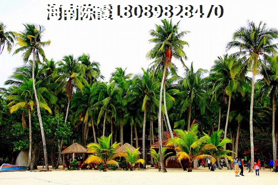卓越·和奕府交通图