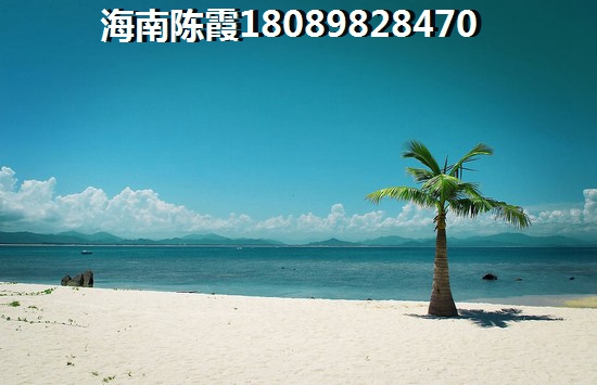 中泰国际